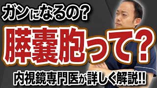 膵嚢胞ってやばいの？膵臓癌との関係は？　専門医が解説