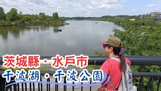 【日本二府九縣春遊 EP.195】茨城縣．水戶市 千波湖．千波公園 | 由那珂川水系匯流而成的千波湖