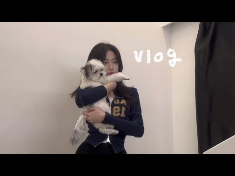 vlog. 요것저것