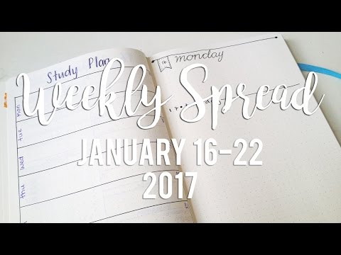 SIMPLE WEEKLY AND DAILY LOGS | Minimal tools | Sam Granger