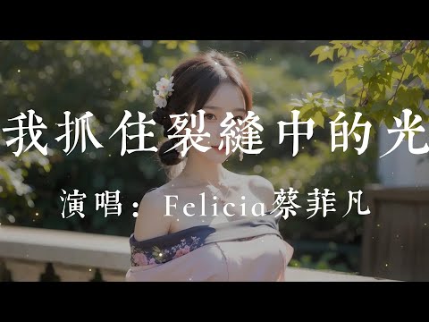 我抓住裂縫中的光-Felicia 蔡菲凡【我抓住裂縫中的光 卻要天黑之前還給太陽 我願意為你去流浪 可你卻不想把我原諒 被遺忘】#HKMG