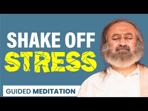 Guided Meditation For Stress Relief | Gurudev