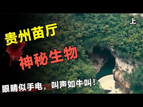 地下洞厅传出恐怖叫声，里面还有怪异抓痕印记，揭秘苗厅水怪！