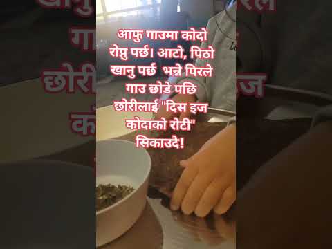 आटो, पिठो खानु प​र्छ​  भ​न्ने पिर​ले गाउ छोडे प​छि छोरीलाई "दिस इज कोदाको रोटी" सिकाउदै!#nepali