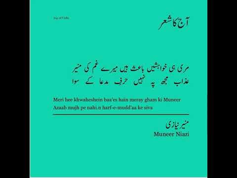 Muneer Niazi | Aleem Zubair | #JoyofUrdu #VerseofTheDay Narrations #munirniazipoetry