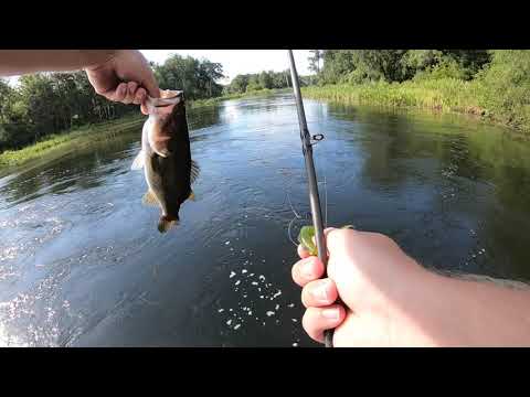 Zoom frogs and whopper plopper bass fishing!! Gator tail 1848 GTR40XD