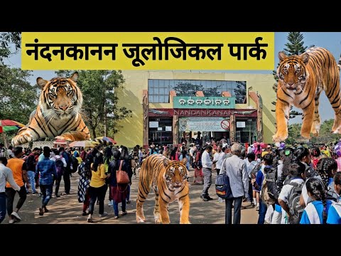 Nandankanan Zoo Odisha Bhubaneswar |All Animals |Birds Reptiles Mammals Full Video 2024 |Vlogs Rahul