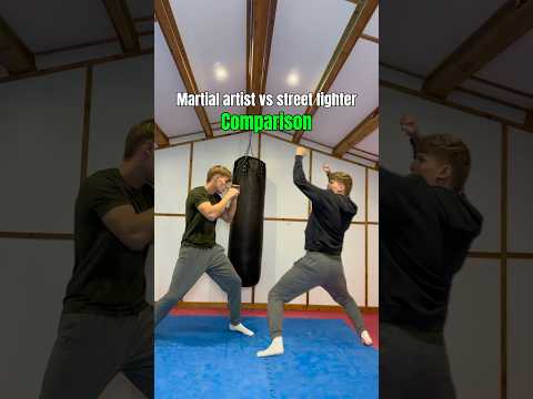 Martial artist vs street fighter COMPARISON