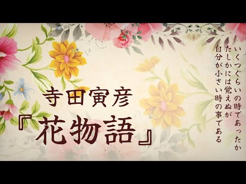 【朗読】9つの思い出と花と『花物語』寺田寅彦【睡眠導入、読み聞かせ】