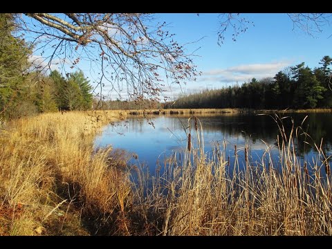 Another Angel Lake Afternoon Walk