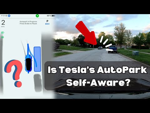 Is Tesla's AutoPark Self-Aware? Can it Park in Diagonal Spots?