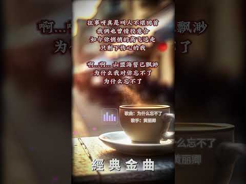 【黃麗卿~為什麼忘不了】懷舊老歌推薦 | 經典老歌 | Best Old Songs of Huang Li Qing