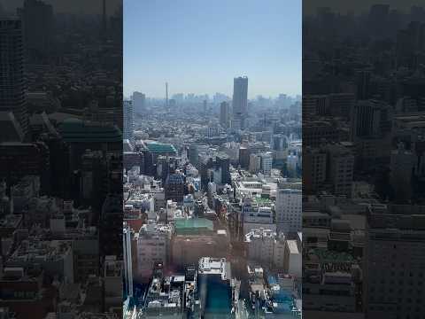 Top Floor Room View at Godzilla Hotel 🇯🇵