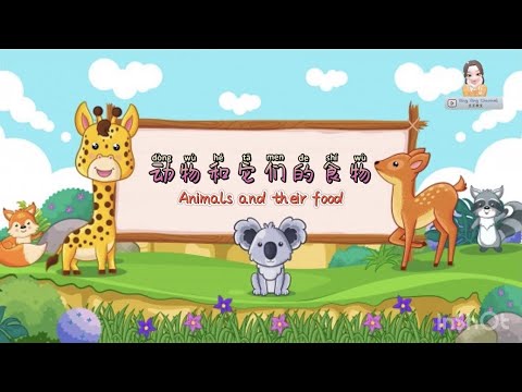 动物和它们的食物 Animals and their food｜科学｜学前教育