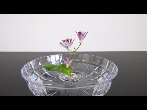 水に浮かぶ花 ゆらめく一輪挿しが素敵すぎた Floating Vase / RIPPLE for small flowers