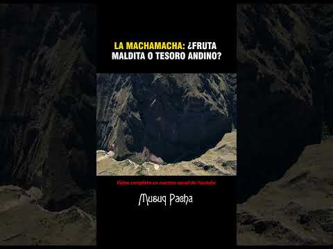 La Machamacha ¿fruta maldita de los Andes? #andino  #naturaleza