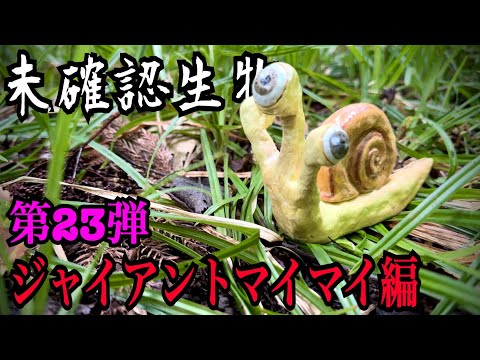 【未確認生物】ジャイアントマイマイ見つけるまで帰れません！！！