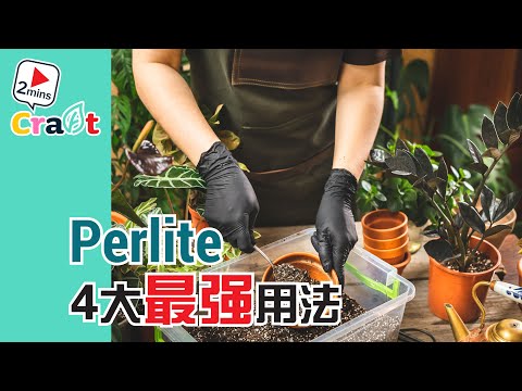 【改良土壤】Perlite园艺珍珠岩4大最强用法！把园艺珍珠岩参入种植土里会有你意想不到的效果，植物都变健康了 | 珍珠岩用途