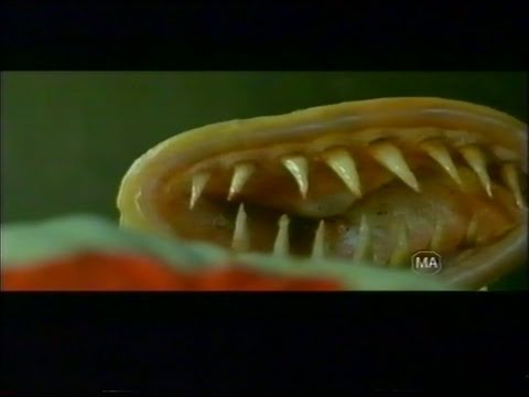 World Movies TV commercial "Killer Movies" (1999)