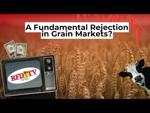 A Fundamental Rejection in Grain Markets?