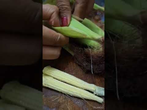 Fresh healthy young corn 🌽 #viral #ytshorts #shortvideo