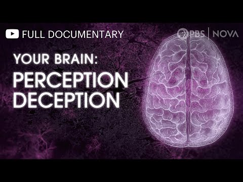 Your Brain: Perception Deception | Full Documentary | NOVA | PBS