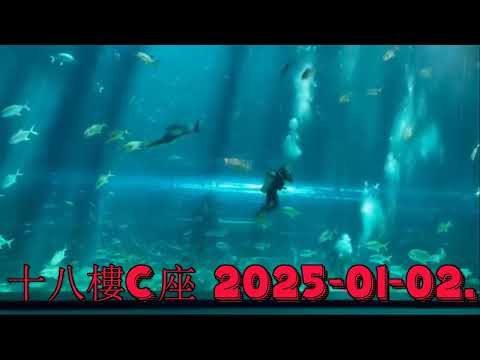 十八樓C座 2025-01-02.