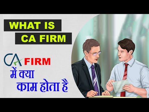 What is CA Firm || What Does A Chartered Accountant Do in CA Firm || All About CA Firms |