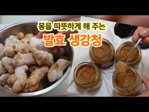 생강맛이 독하지 않아서 한 숟가락씩 떠 먹어도 좋은 발효생강청 만드는 법/냉동생강으로 만들어도 좋아요