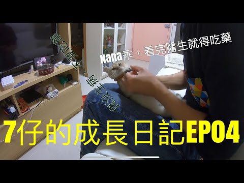 7與7仔｜成長日記EP04