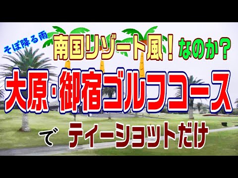 ちょこっとパームツリー　南国リゾート風な大原・御宿ゴルフコースでティーショット