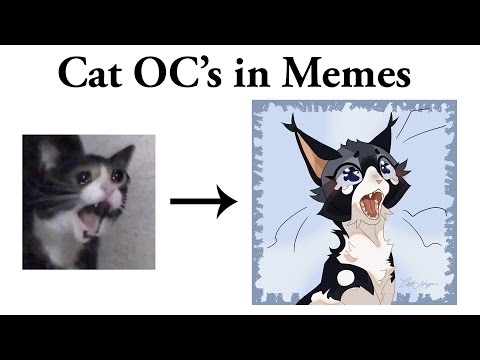 Warrior Cats OC's in MEMES