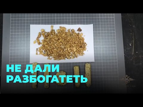 Пассажиры с золотым уловом