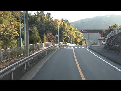 紅葉を見ながら峠道～奥多摩方面へ