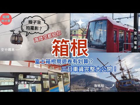 『日本旅遊篇#5🇯🇵箱根 』-  複雜的箱根交通，嫂子畫圖讓你秒懂｜富士箱根周遊卷比較便宜？