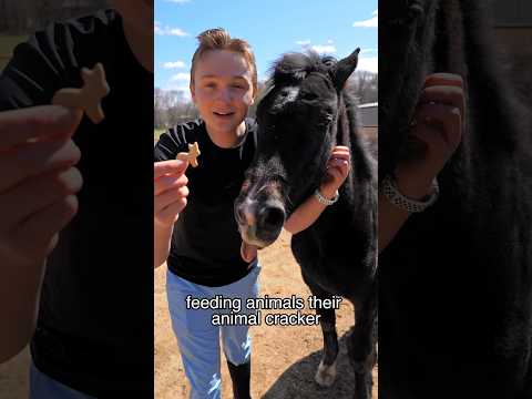 Fed my horse a horse for National Animal Cracker Day