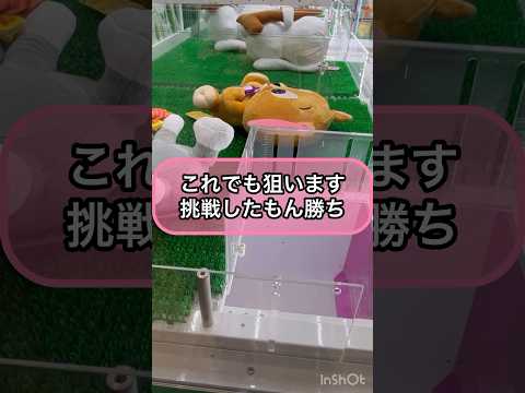 【クレーンゲーム攻略】これでも狙います！！挑戦したもん勝ち！！