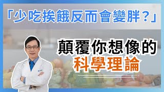 減肥節食吃不飽 少吃是你瘦不下來的原因！the reason you can't lose weight!