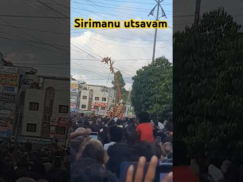 Sirimanu utsavam vizianagaram  #sirimanu #vzm #shorts #viralshort #ytshorts #viral