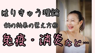 【はりきゅう理論】鍼の効果の覚え方！今回は消防署がポイント！【Biancaなざと】