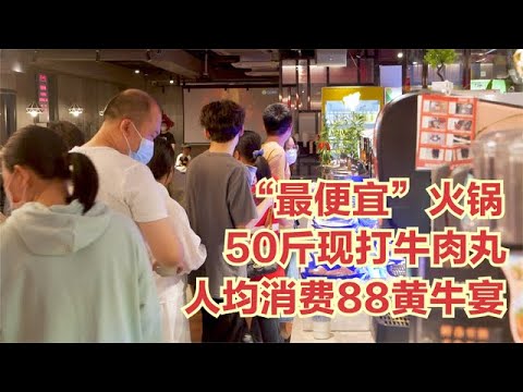 福建人眼中「最便宜」火鍋，50斤牛肉丸，人均消費88黃牛宴吃過癮