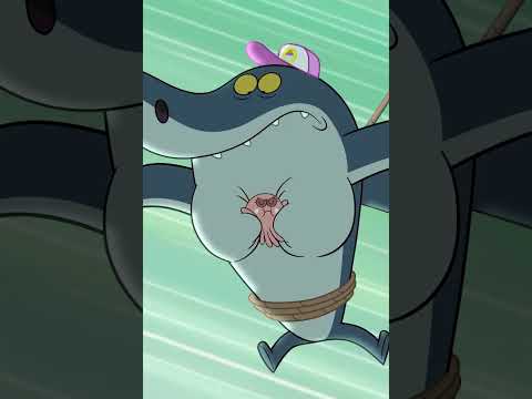 O salvador #Shorts #Zigandsharko Zig & Sharko | Cartoon for kids