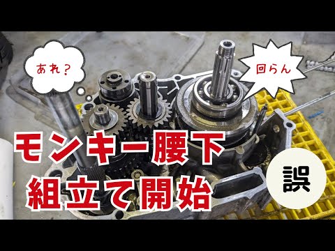 「腰下組み立て開始」モンキー復活への道2024（5）【88ccカスタムモンキーで遊ぶ #167】