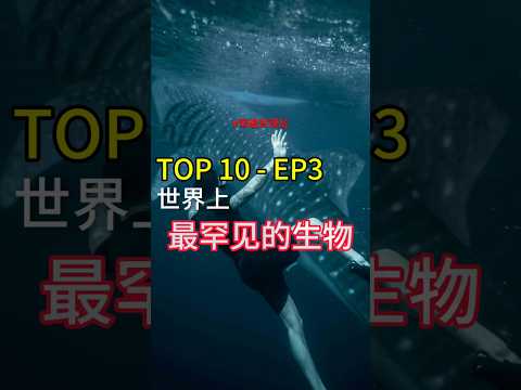 世界上最罕见的生物Top 10👍EP3 第五名，‘萨拉威龙’。 第四名，‘爱达峡谷巨蠕虫’。 下期将为大家揭晓前三名世界之最罕见生物🫶谨请期待 #top10 #世界之最 #ep3 #动物