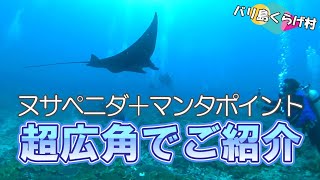 【バリ島ダイビング】ヌサペニダ＋マンタポイント 超広角カメラで透明度の良い日の海のマンタをご紹介致します！ @jellyfishbali