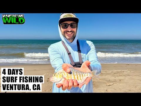 4 DAYS SURF FISHING - Ventura, California