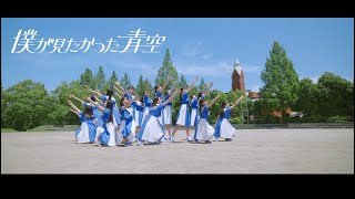 僕が見たかった青空 / 「青空について考える」Music Video