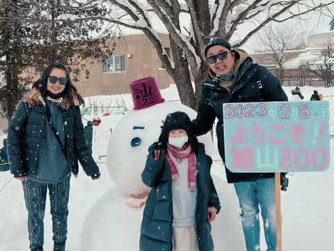 KKday一日行程，沒有自駕的家庭旅遊救星。北海道沒有開車也可以方便去旭川動物園跟精靈露台 2023北海道 Day2