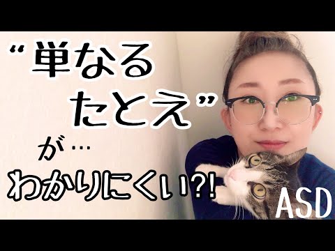 ASDにとって【単なるたとえ】の理解がどうして難しいのかを解説します【ASD当事者/発達障害/発達障害児育児】