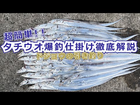 【簡単】太刀魚が3桁釣れるようになります【ドジョウの引き釣り仕掛け】